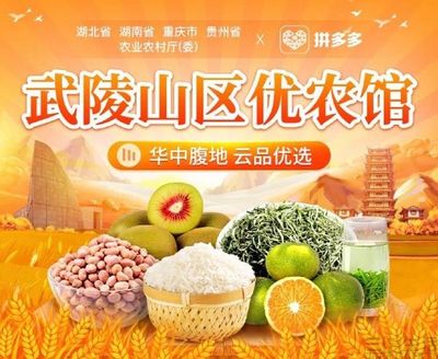 拼多多上線“武陵山區優農館”，助力食用農產品上行與鄉村振興