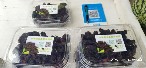 鄂城區食用農產品進入“帶證上市”時代，批發市場安全監管再升級