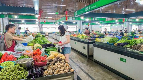 象山6家單位上星！食用農產品批發行業迎來新標桿