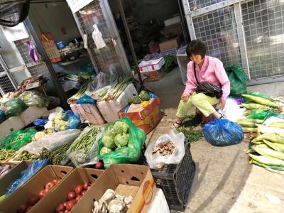 暑期社會實踐 | “融寧鄉音小分隊”尋訪農產品批發中心，探索旅順口區新發展